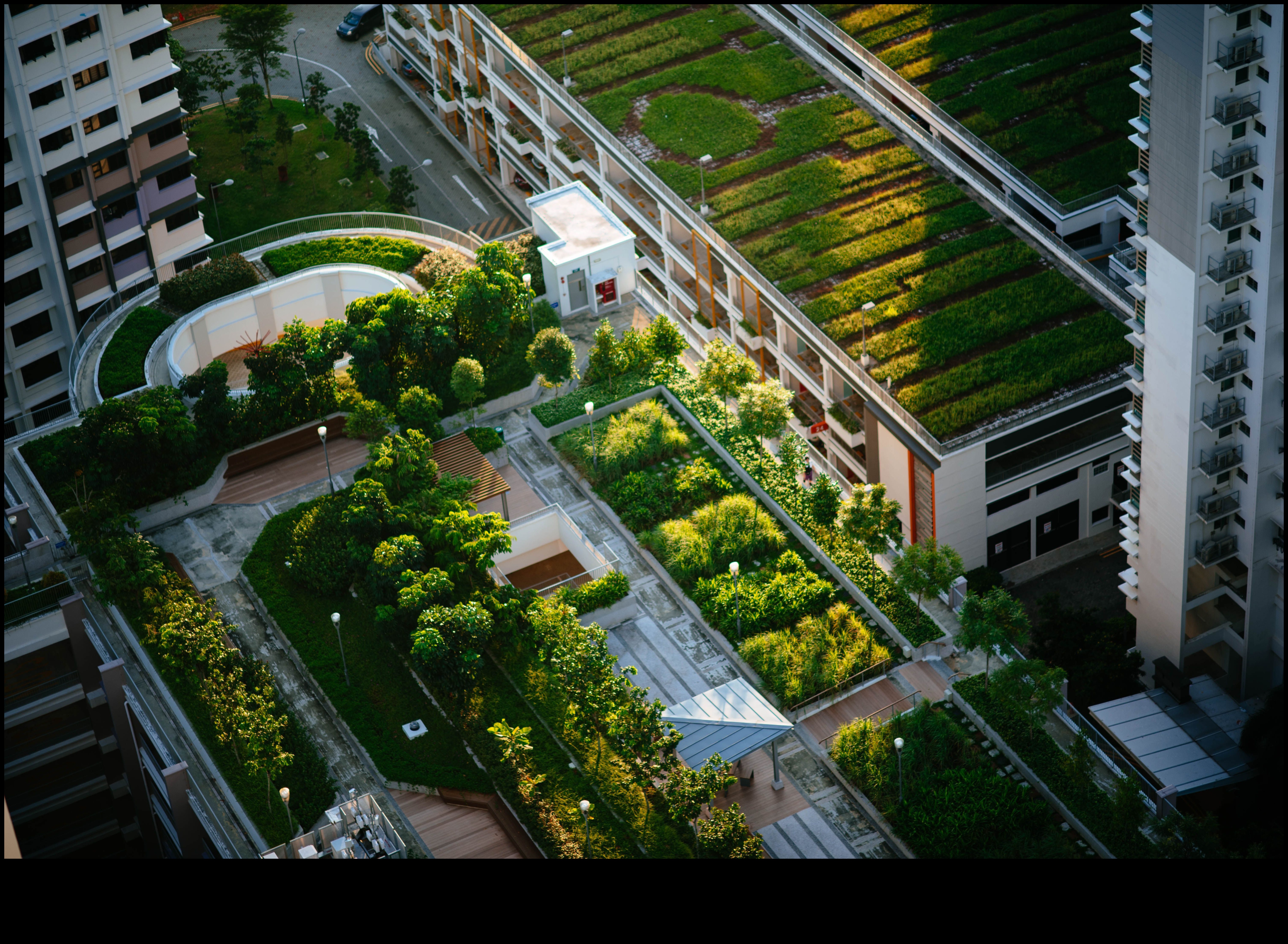 Green Gems II: Parcuri și grădini ca o oază urbană revizuită