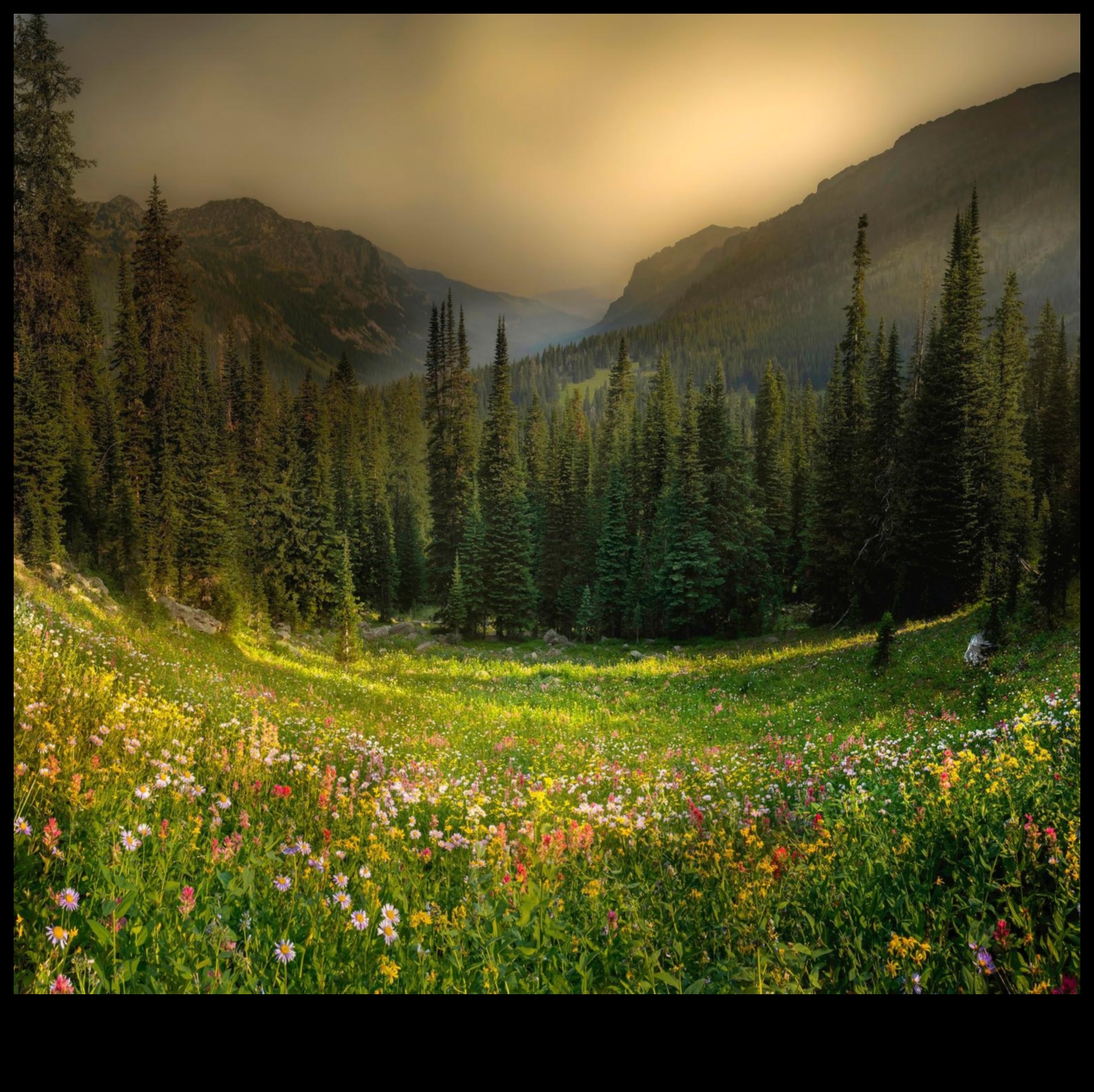 Munții O frumusețe sublimă 4 Summit Serenity: Explorând liniștea peisajelor montane