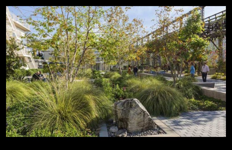 Proiectarea peisajelor durabile pentru viitor 4 Design sustenabil al peisajului: Echilibrarea frumuseții și eco-friendly