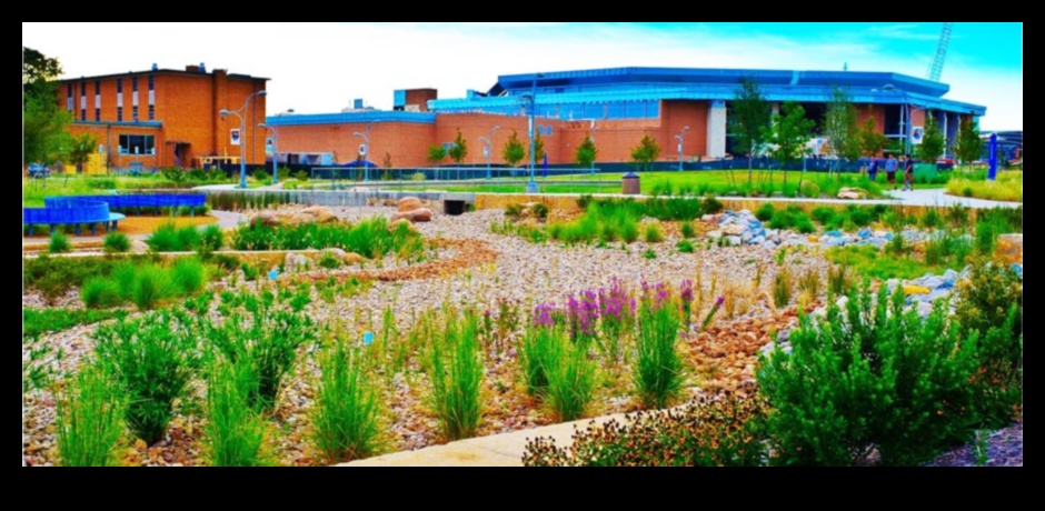 Proiectarea peisajelor durabile pentru viitor 3 Design sustenabil al peisajului: Echilibrarea frumuseții și eco-friendly