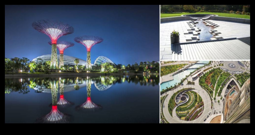 Proiectarea peisajelor durabile pentru viitor 5 Design sustenabil al peisajului: Echilibrarea frumuseții și eco-friendly