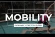 Dynamic Stretch Fusion: Combinând flexibilitatea și mișcarea în încălzire