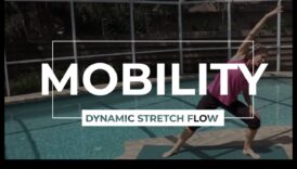 Dynamic Stretch Fusion: Combinând flexibilitatea și mișcarea în încălzire