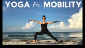 Mladiere atentă Un sfatuitor inspre a vă a scapata cu ușurință și grație 1 Flexibilitate atentă: creând ușurință și grație în fiecare întindere