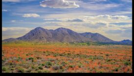 A poza naturii a se indrepta frumusețea lumii naturale 5 Anotimpuri de splendoare: surprinderea frumuseții schimbărilor naturii