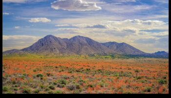 Anotimpuri de splendoare: surprinderea frumuseții schimbărilor naturii