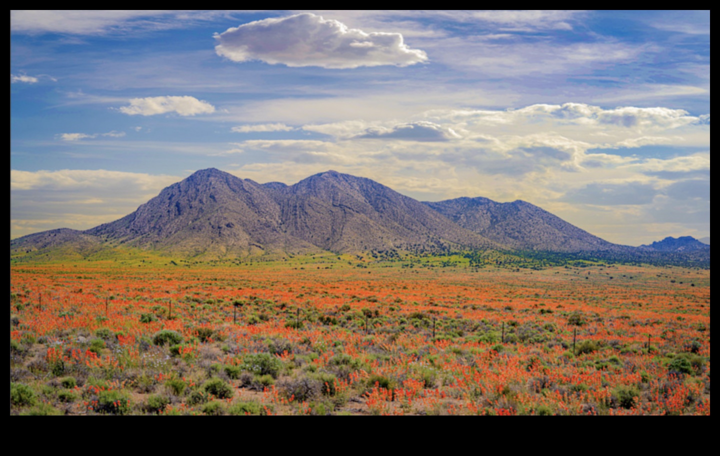 Anotimpuri de splendoare: surprinderea frumuseții schimbărilor naturii