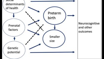 Hrănitorul naturii: promovarea dezvoltării holistice la sugari