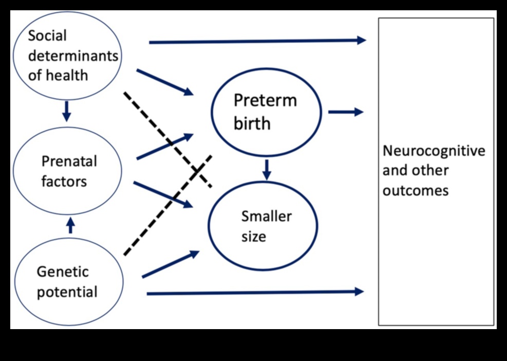 Hrănitorul naturii: promovarea dezvoltării holistice la sugari