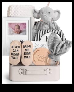 Însoțitori drăgălași: cadouri gânditoare pentru bebeluși pentru fiecare vârstă