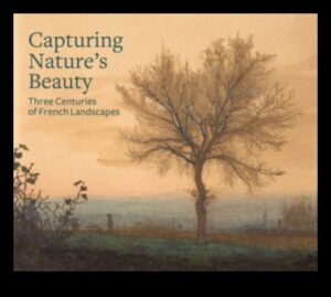 Stari de spirit majestuoase: peisaje expresive și dramatice în fiecare cadru