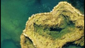 Cronici fluviale: Navigarea frumuseții pârâurilor și râurilor