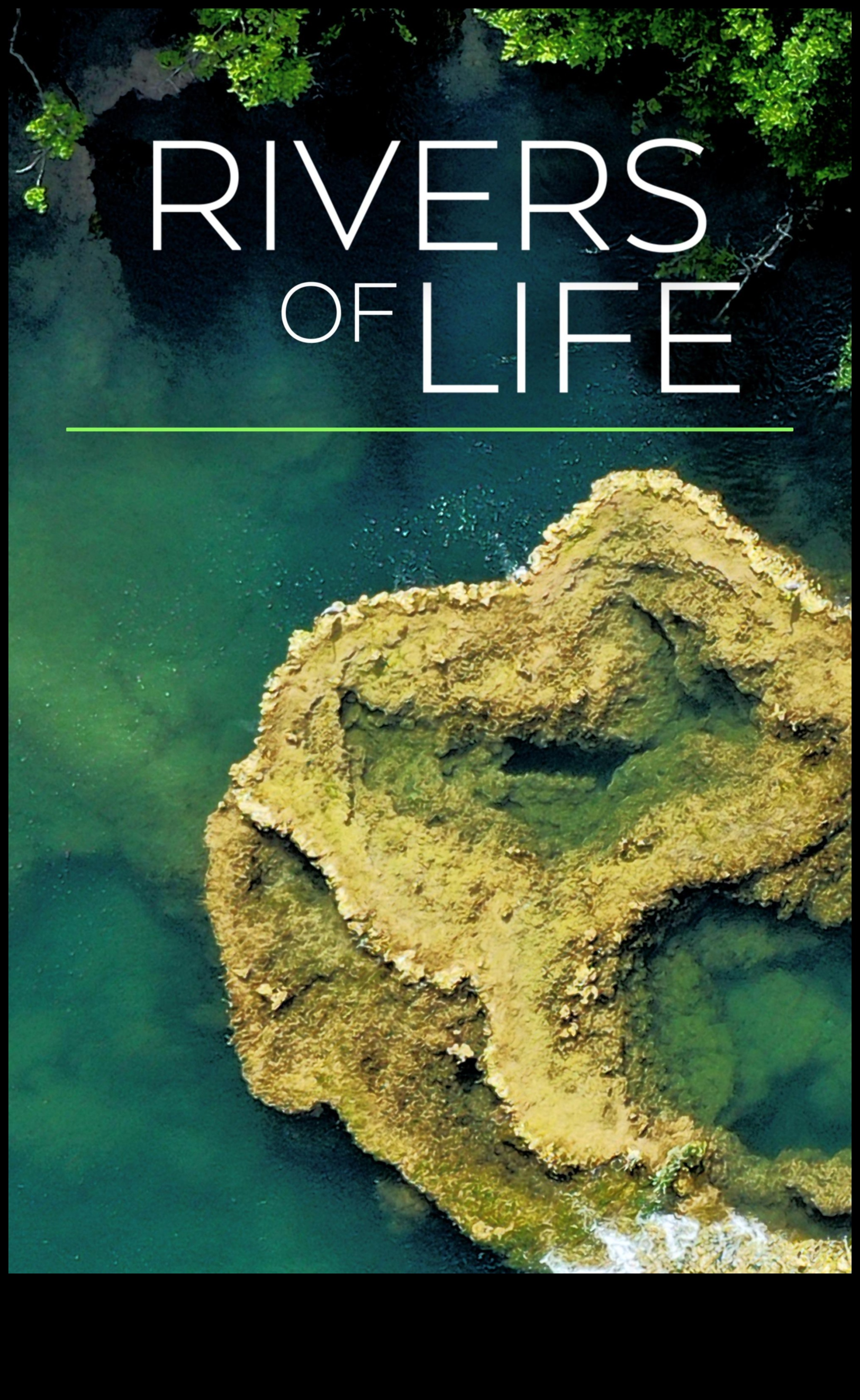 Râurile vieții 1 Cronici fluviale: Navigarea frumuseții pârâurilor și râurilor