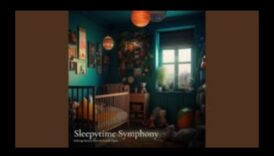 Sleepytime Symphony: Elemente esențiale pentru somnul relaxant