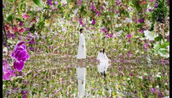 Spații creative: aprinderea inovației în explorarea arhitecturală