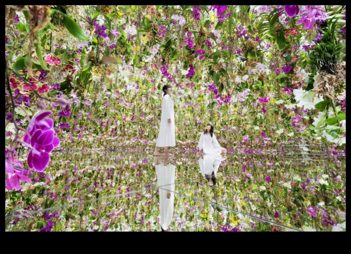 Spații creative unde inovația înflorește 1 Spații creative: aprinderea inovației în explorarea arhitecturală